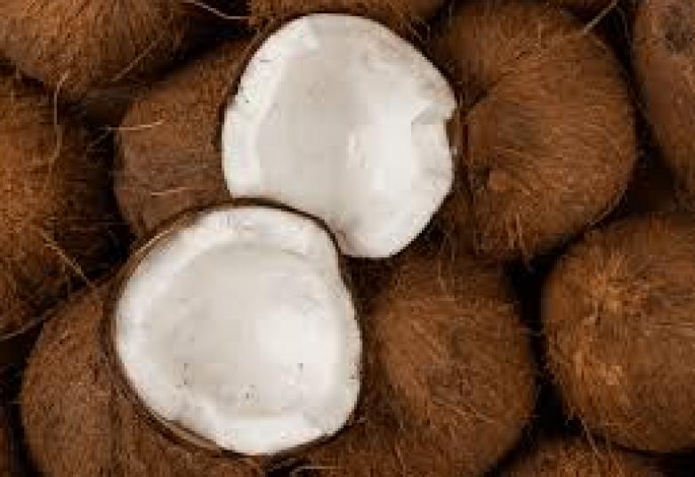 Côte d'Ivoire : noix de coco, un potentiel de revenus sous-exploité