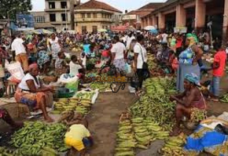 São Tomé-et-Príncipe : la connectivité et les données numériques pour donner un nouveau souffle à son agriculture