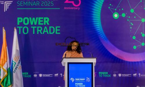 Afreximbank plaide pour un renforcement des capacités de financement du commerce en Afrique