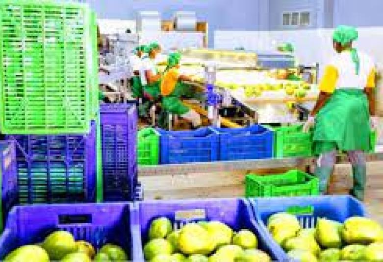 Burkina faso : Le pari gagnant de l'usine Dafani