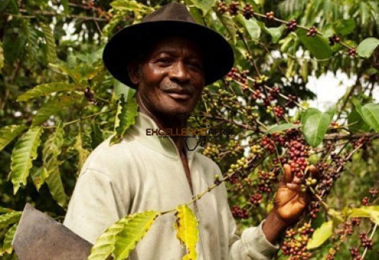 Côte d'Ivoire : Nestlé prend l'engagement de célébrer le café ivoirien et soutenir les communautés
